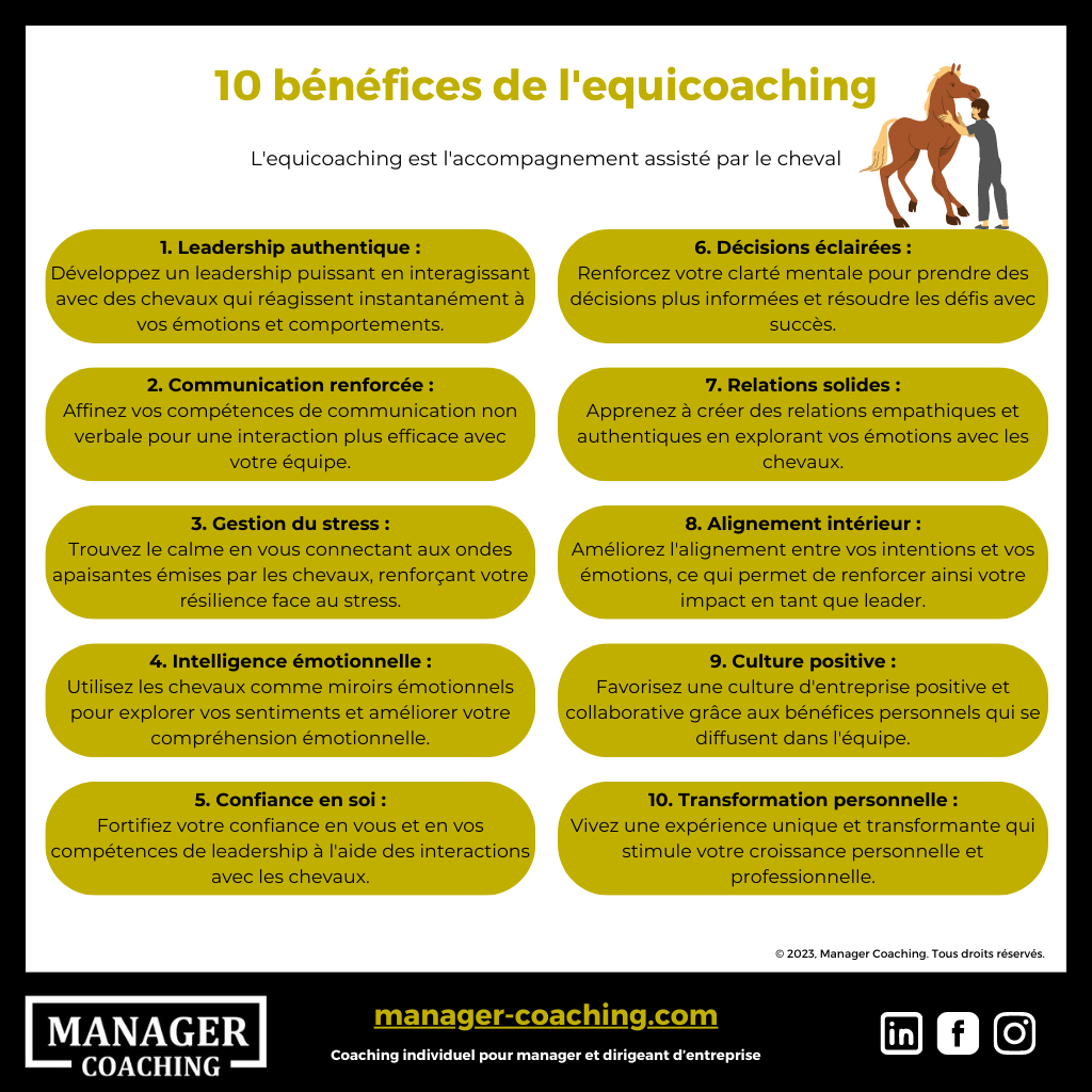 Schéma - Equicoaching - Manager Coaching