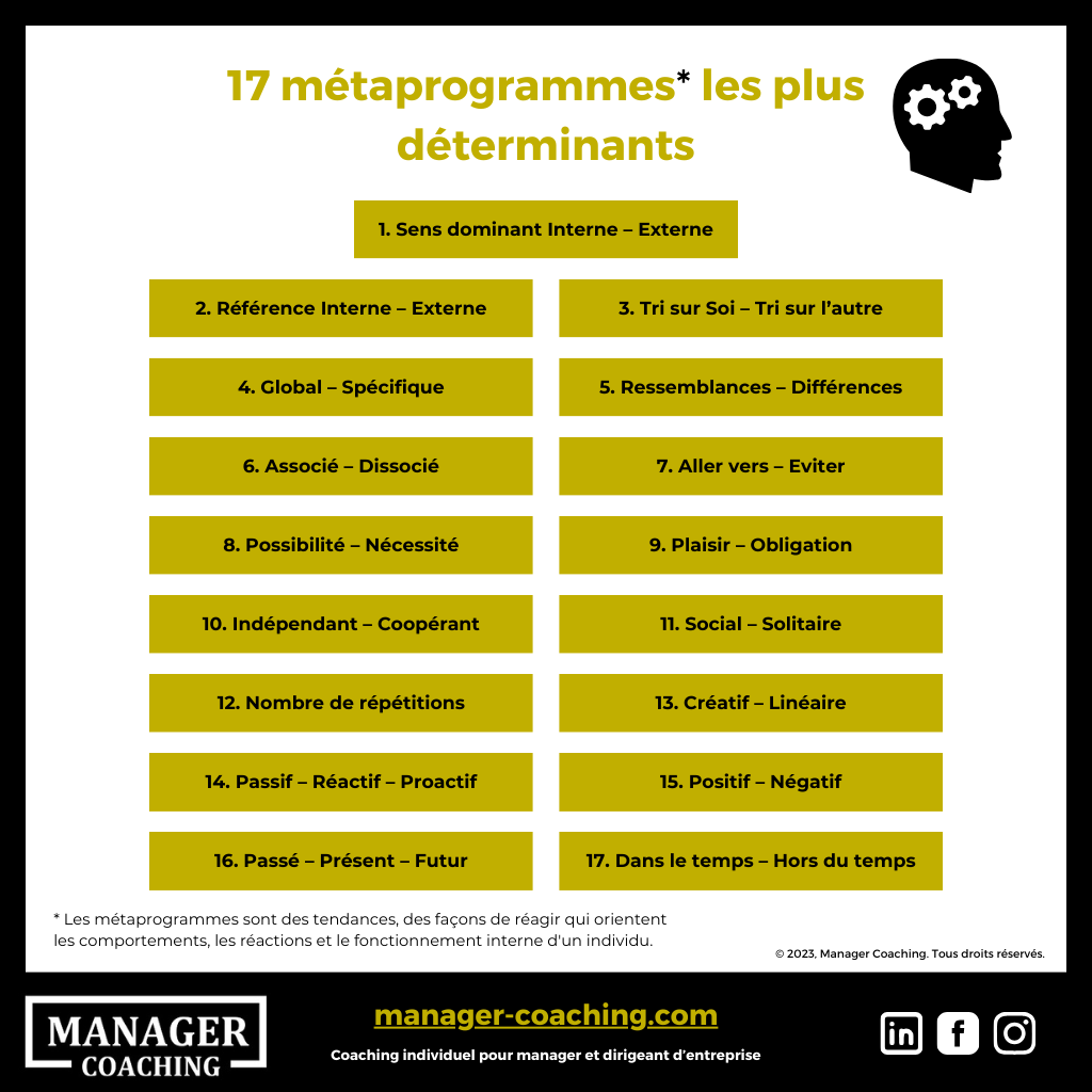 Schéma - Les métaprogrammes - Manager Coaching